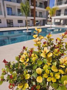 One bedroom apartment, Universal Residences