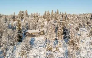 3 Bedroom Amazing Home In Gol - Gol