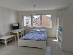 Elegant Spacious Room, Steps from Luxembourg Train Station