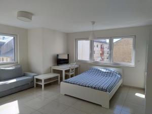 Elegant Spacious Room, Steps from Luxembourg Train Station