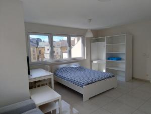 Elegant Spacious Room, Steps from Luxembourg Train Station