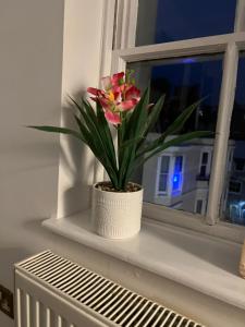 Russell Square Apartment