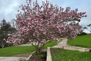 Appartements Avocette elegante - Laita Guidel : photos des chambres
