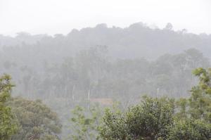 Ibbanicadu Estate Homestay