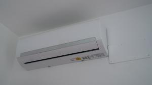 Il Vialetto Verde img13