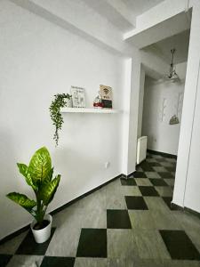 Victoriei spacious studio