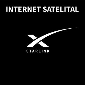 Mariposa - Cabañas Puerto del Zopilote