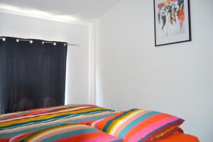 Appartements Je jazz les couleurs a Albi - Centre Unesco - Parking - Climatisation - Animaux acceptes : photos des chambres