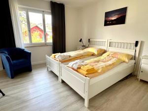 Ascona: ORTO DEGLI ANGIOLI