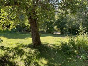 Genuine 100 year old countryside cottage