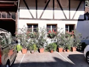 Maisons de vacances Maison de charme avec jardin a Ingersheim - Chaleur cosy : photos des chambres