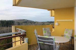 Apartment KY481 im PanoramicHohegeiß