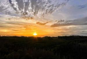 Apartment KY481 im PanoramicHohegeiß