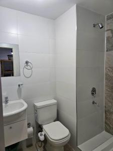 Amplio departamento monoambiente