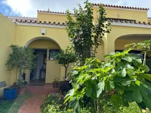 Casa Amarela - Arábia