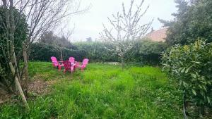 Appartements Le Bacchus : photos des chambres