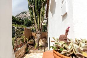 Casa La Scaletta, Capri