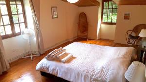 Spacious holiday home with pool in pretty village