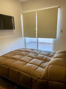 Departamento Océano