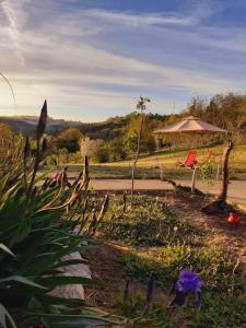 Sunny Side Fruska Gora- apartman A