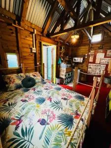 La Cabane d’Annesy - Le Dioré