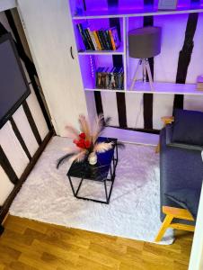 Appartements Le Cocon Urbain Central : photos des chambres