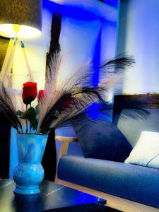 Appartements Le Cocon Urbain Central : photos des chambres