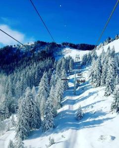 Maisons de vacances Cozy, spacious, quiet, with views of the slopes. : photos des chambres