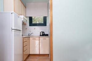 Emerald Studios Kriopigi II