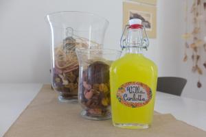 Villa Carlotta - Relax a due passi dal mare