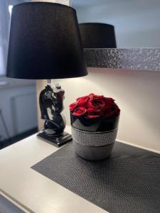 Channel na Wspólnej Centrum Deptak PKP PKS -Garaż Podziemny zameldowanie -wymeldowanie bez kontaktowe