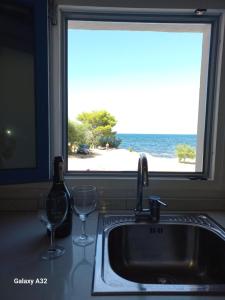 AbuNagia seaside villa garden