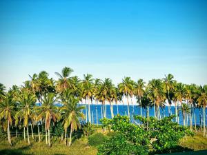 Pousada da Barra Prado Bahia