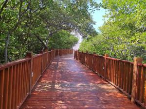 PENTHOUSE con Vista y Salida Directa al Mar