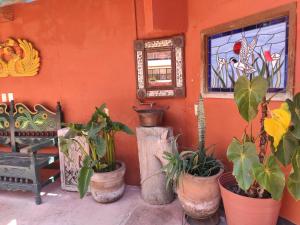 Hotel Mesón de la Salud