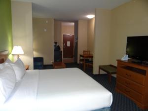 Holiday Inn Express Hotel & Suites Salisbury - Delmar by IHG