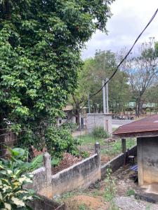 Backpacker Digital Nomad Guest House