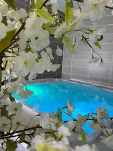 Hôtel Calme Des Pins & Spa