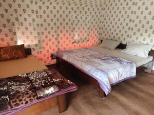 YOLO Outdoors - Riverside Luxury Domes, Jispa