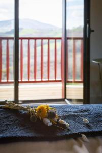 Appartements Studio Baigura - Deconnexion au Pays basque : photos des chambres