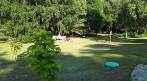 Domek letniskowy Pod brzozami Pszczew