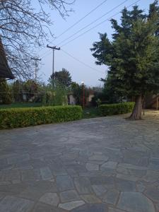 Fotinis Paradise