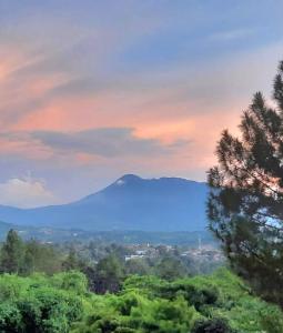 Villa Montaview Puncak by Damaresa