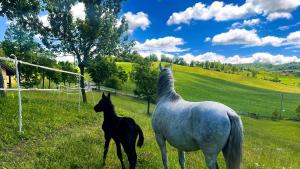 Agriturismo Antica Torre
