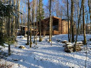 Domaine du Hygge Chalets Lodges & Spa : photos des chambres