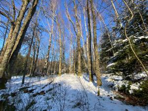 Domaine du Hygge Chalets Lodges & Spa : photos des chambres