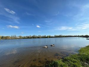 Campings VeniseOuest Hotellerie de Plein Air : photos des chambres