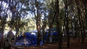 Camping Ulisse Calabria