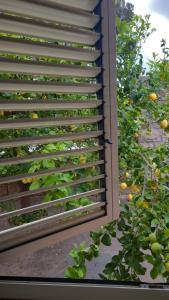 Ferienhaus Bella Vista img42