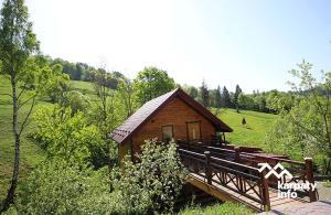 Буковий гай & ЧАН